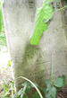Jane Coles headstone
