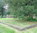 Overview of Coles plot