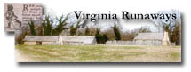 Virginia Runaways